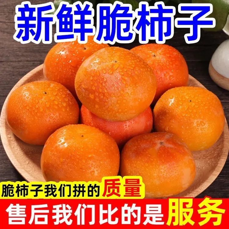 甜脆柿子正宗阳丰现摘脆柿应季新鲜水果无核整箱批发冰糖甜巧克力