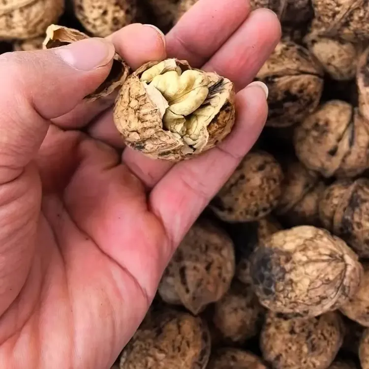 （干核桃）贵州毕节老树薄皮核桃产地直发大人小孩零食无漂洗无熏硫