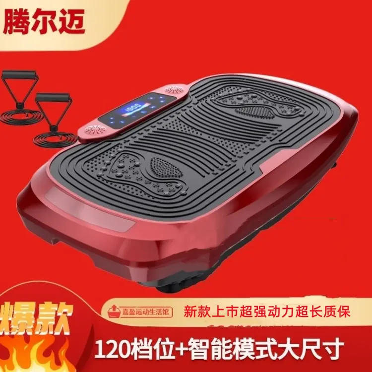 腾尔迈懒人运动抖抖机家用健身震动摇摆机慢跑智能超大强劲律动机