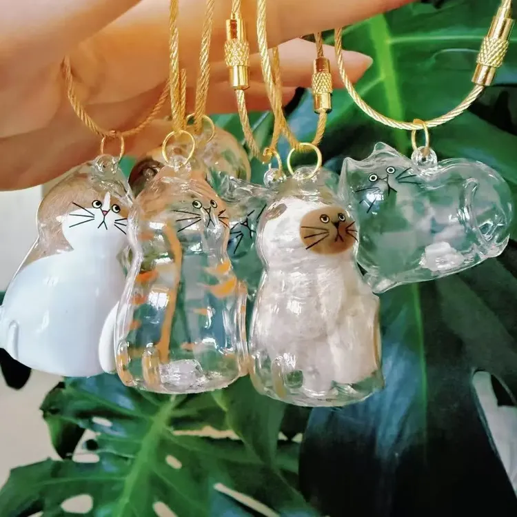 【进账】透明猫毛收纳盒吊饰扭蛋猫咪毛发存放胶囊纪念钥匙扣挂件