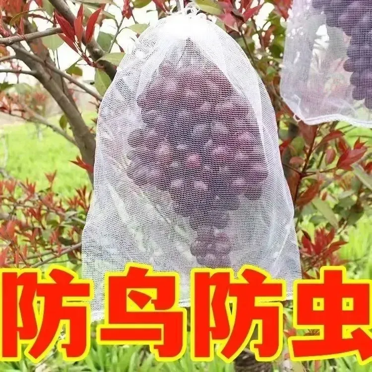苦瓜防虫袋无纺布套袋青瓜丝瓜专用防雨防蜂果蝇透气加厚防水防晒商品图