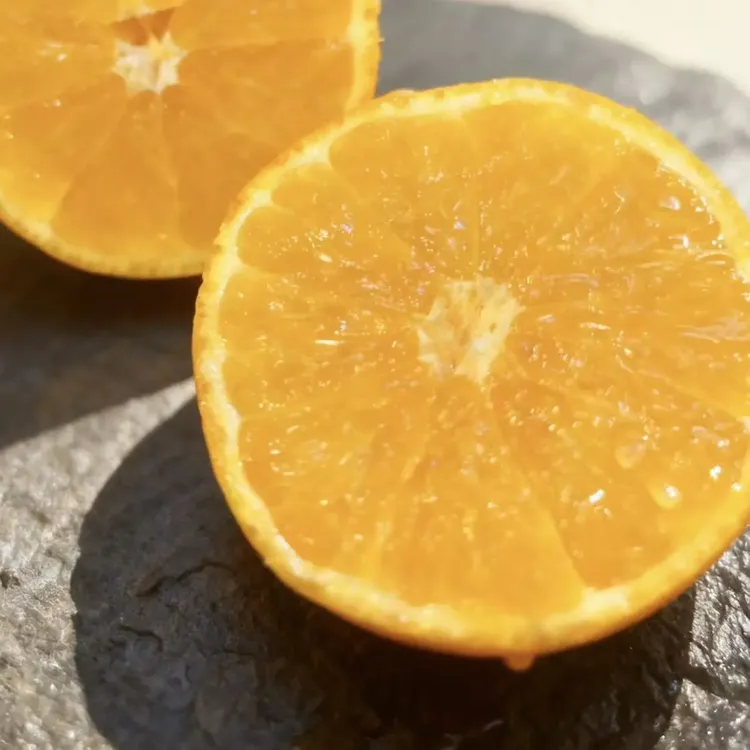四川爱媛38号果冻橙新鲜现摘应季水果爆甜多汁无籽无渣
