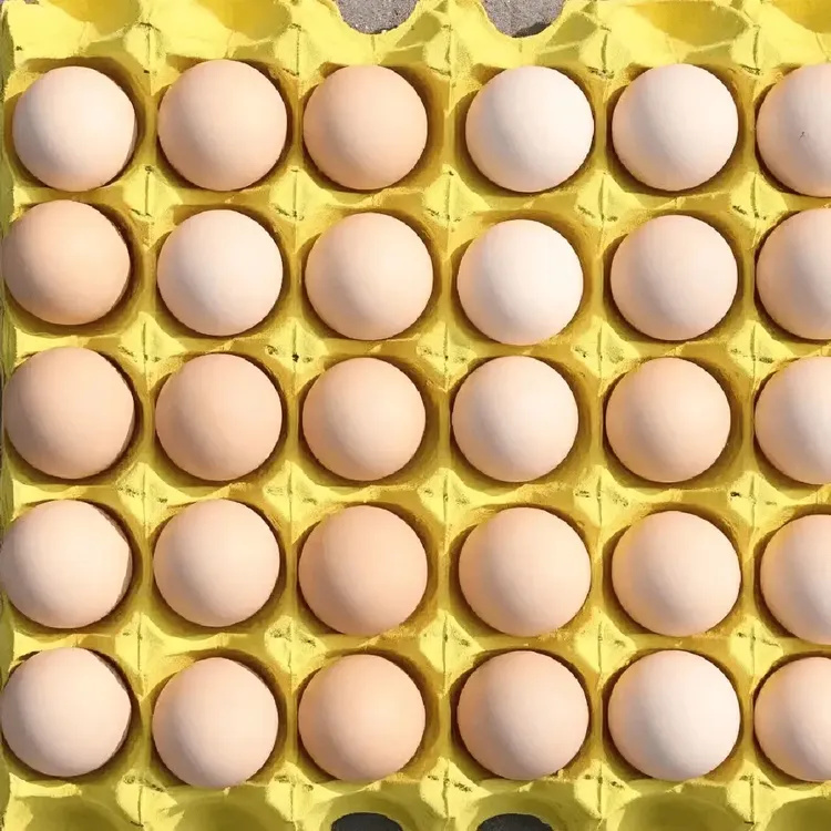 （40枚农村土鸡蛋）高山散养土鸡蛋生态土鸡蛋五谷杂粮放养土鸡蛋10