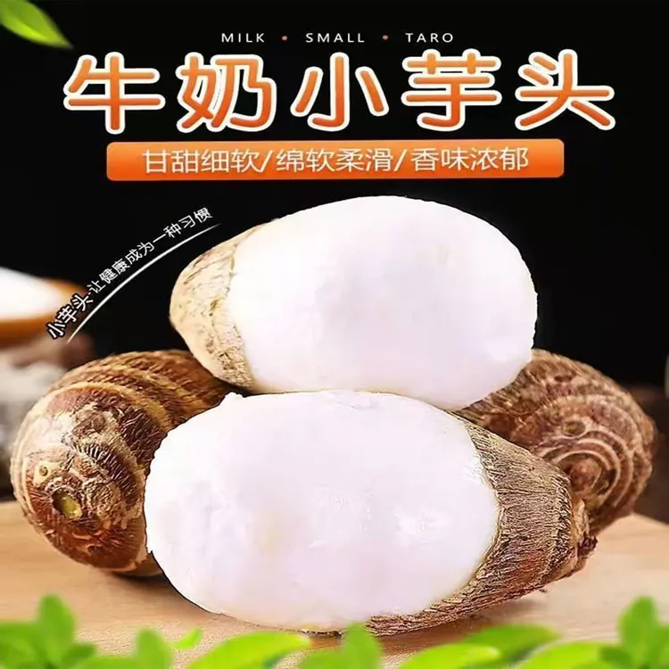 贵州牛奶芋头芋艿香芋新鲜应季现挖现发产地直销香甜软糯芋头
