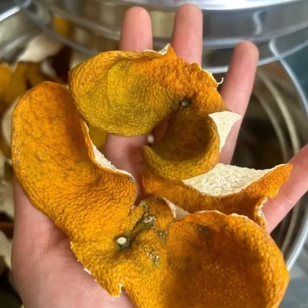 梅江现摘大红断皮自然生晒干仓泡茶收藏佳品广东新会陈皮