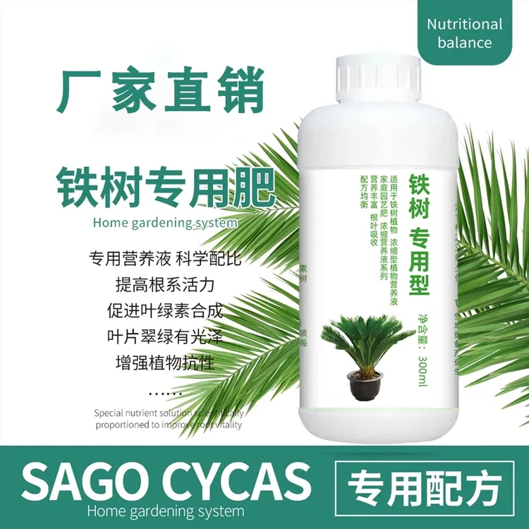 铁树植物铁树盆景肥料苏铁树盆栽专用复合肥料防黄叶干枯商品图