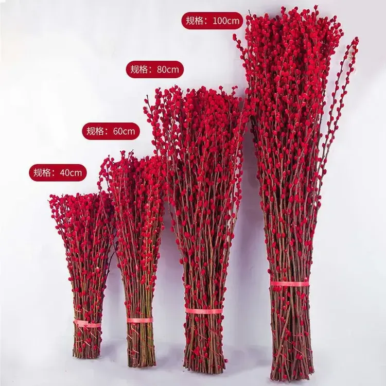 招财银柳真花鲜枝春节年宵花卉水培植物干花红色银柳客厅室内装饰