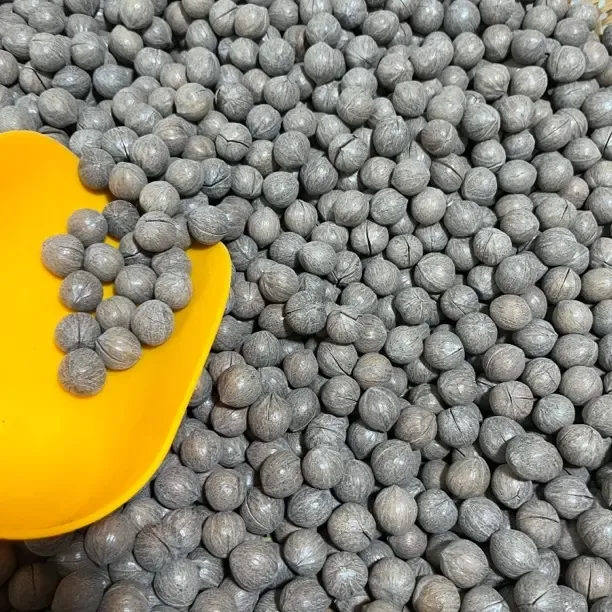 临安特产【非手剥】山核桃特大籽圆籽坚果炒货老工艺老底子500g一袋