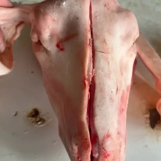 新鲜农家散养羊头顺丰包邮