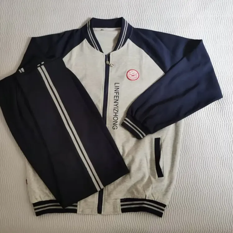 临一中高一高二同款秋季套装