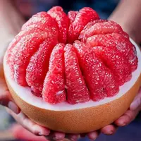 【拒绝假货】李书记福建当季新鲜水果平和红心蜜柚4-9斤当天采摘