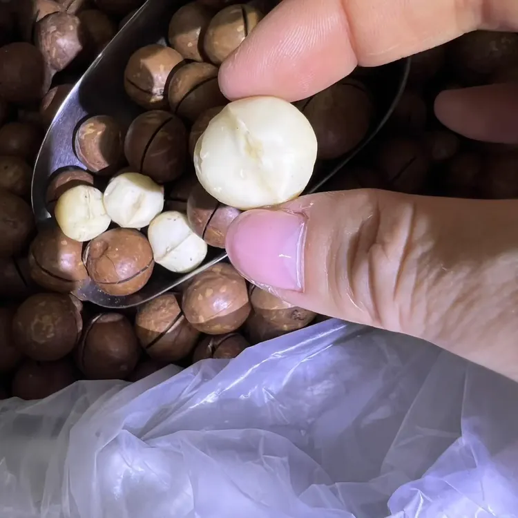 新货夏威夷果大颗粒奶油味原味奶香孕妇干果坚果零食炒货送开口器