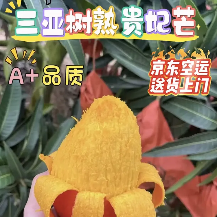 顺丰京东（空运）三亚树熟贵妃芒果应季水果