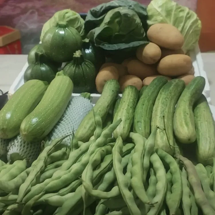 贵州新鲜蔬菜组合4斤现摘四季豆圆瓜长瓜黄瓜现摘现发
