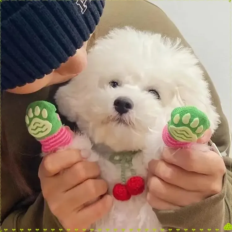 宠物袜子保暖猫咪不掉脚比熊泰迪小型犬四季通用脚套防抓鞋子E31