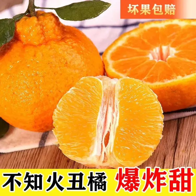 高山不知火丑橘应当季新鲜采摘产地直发丑橘子丑八怪丑柑1-9斤发