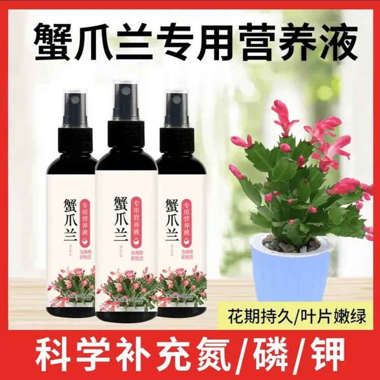 【拍一发三】蟹爪兰营养液专治叶子变软枯萎倒伏发黄植物肥