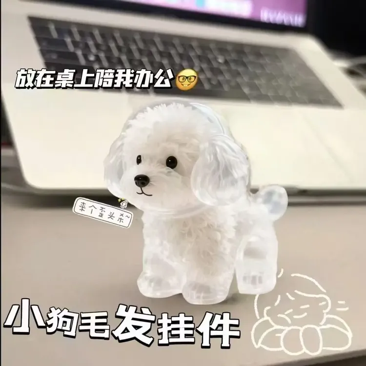 透明猫狗兔收纳盒吊饰扭蛋钥匙扣挂件猫狗毛发存放胶囊创意小饰品商品图