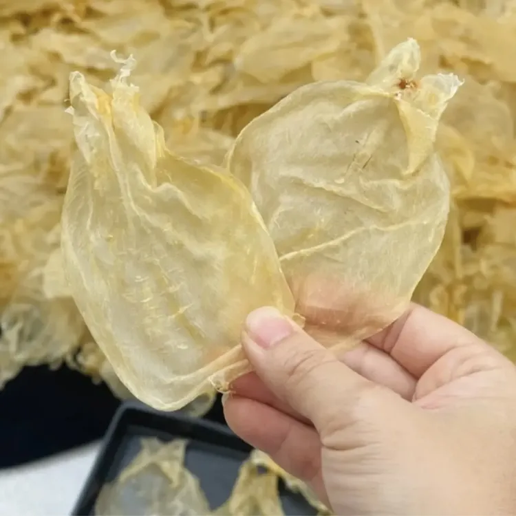 蜘蛛片鱼胶 甲肚片 干货深海野生滋补品