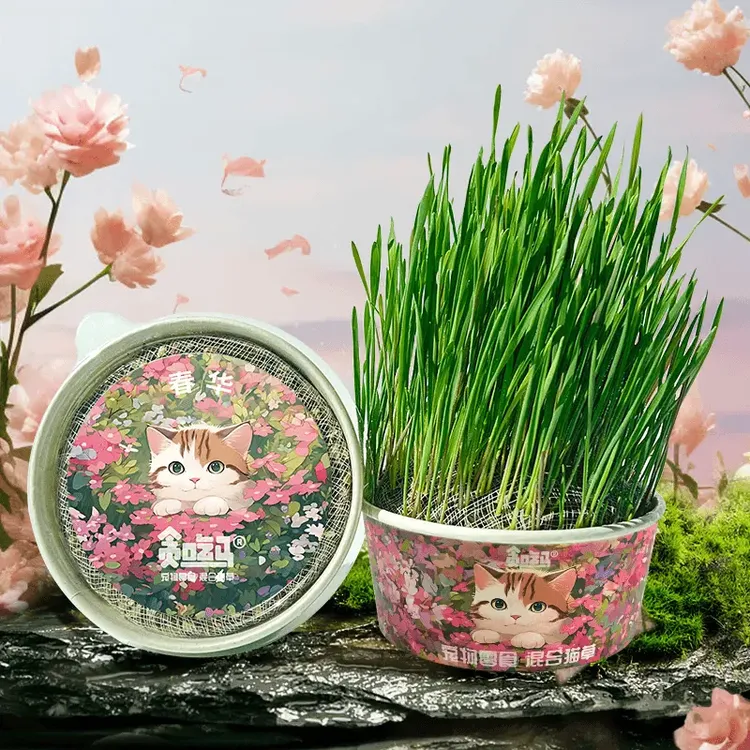 猫咪猫草懒人盆栽无土培育草罐水培种植猫零食宠物营养