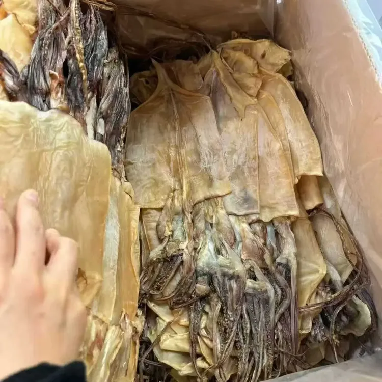淡干带头须鱿鱼干 煲汤炒菜特产深海野生海鲜干货