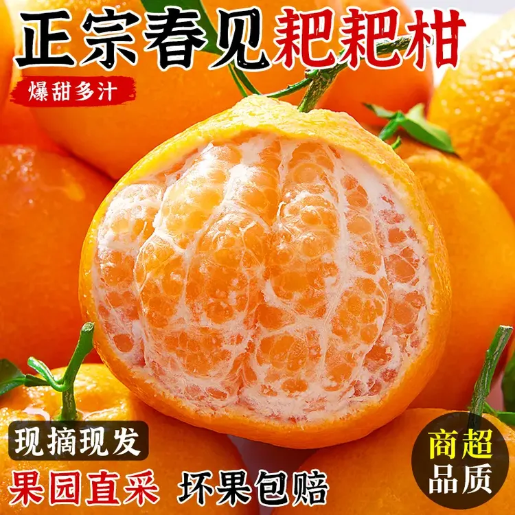 正宗四川春见耙耙柑新鲜应季水果细嫩多汁香甜可口m