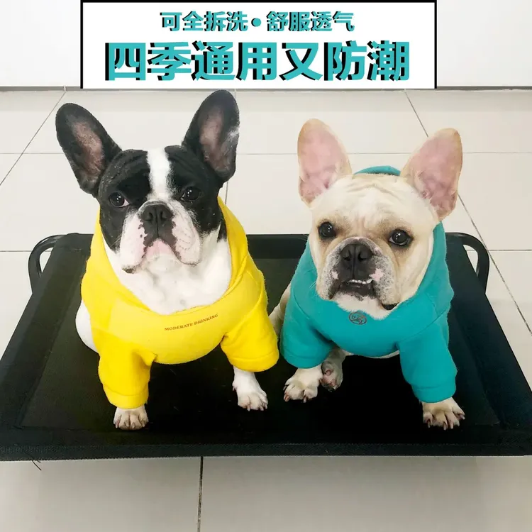 【踏屿】狗狗四季通用透气防潮离地床春秋爆款行军床扛抓耐磨易清洗商品图