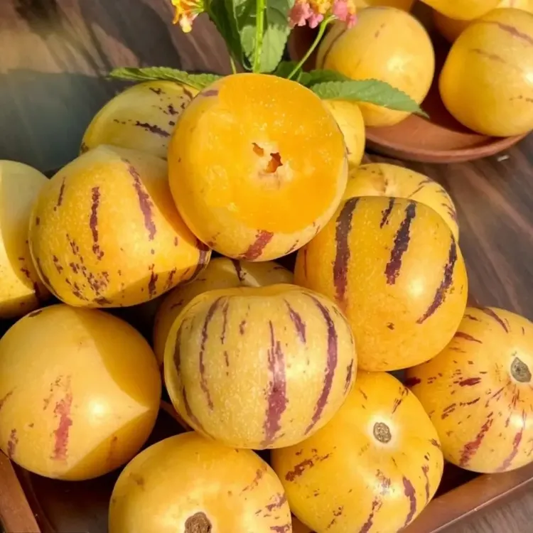 云南石林果新鲜树熟黄肉圆果清甜多汁当季水果