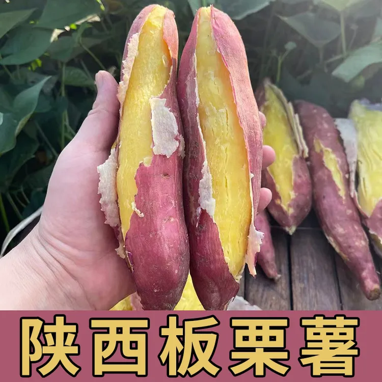 现挖陕西新鲜板栗红薯粉面无丝甘甜番薯粗粮香薯烤地瓜3/5斤代餐商品图