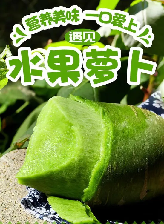 山东潍县水果萝卜产地现摘现发爽脆多汁