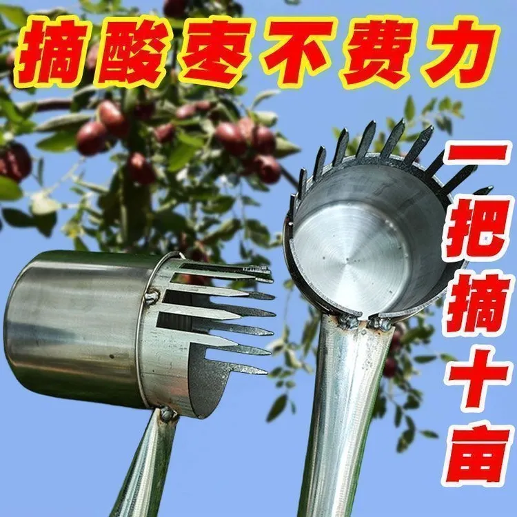 加厚2024新款酸枣不锈钢摘果器采果山枣柏树神器小枣工具扎手