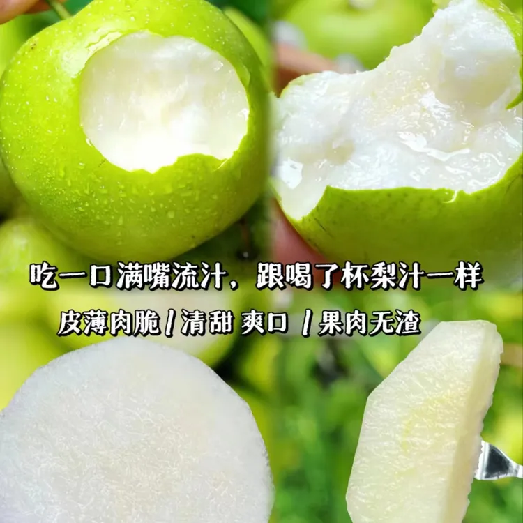 新鲜砀山梨皇冠梨正宗好吃成熟皮薄清甜爽口
