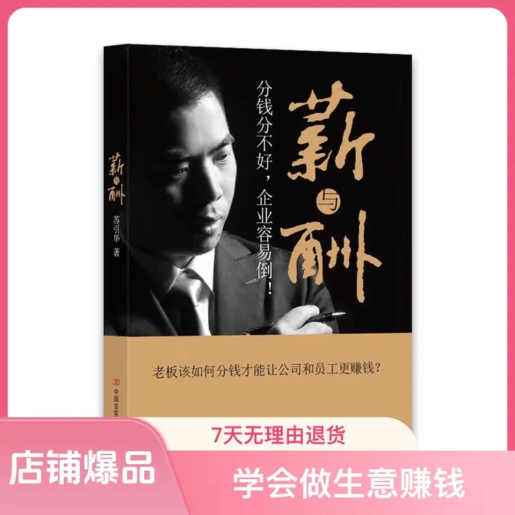 苏引华《薪与酬》平装版老板分钱股权分红团队激励管理绩效薪酬赚钱