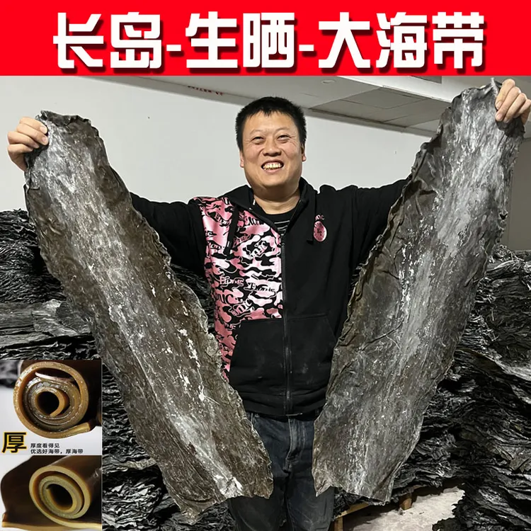 干净海带干货海带根海带头大钦岛干海带厚片免洗宽长岛真日晒500g