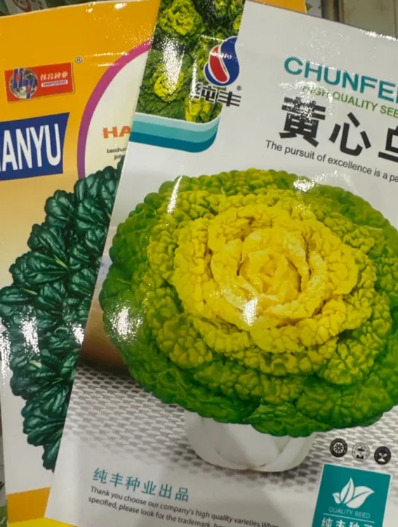 乌塌菜种子（新老包装随机发货）