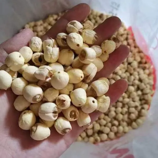 江西农家手工白莲子干  莲子芯