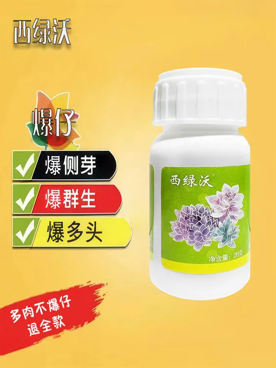 不爆仔！退全款！（西绿沃）崽多多20克多肉植物爆仔促芽催芽专用