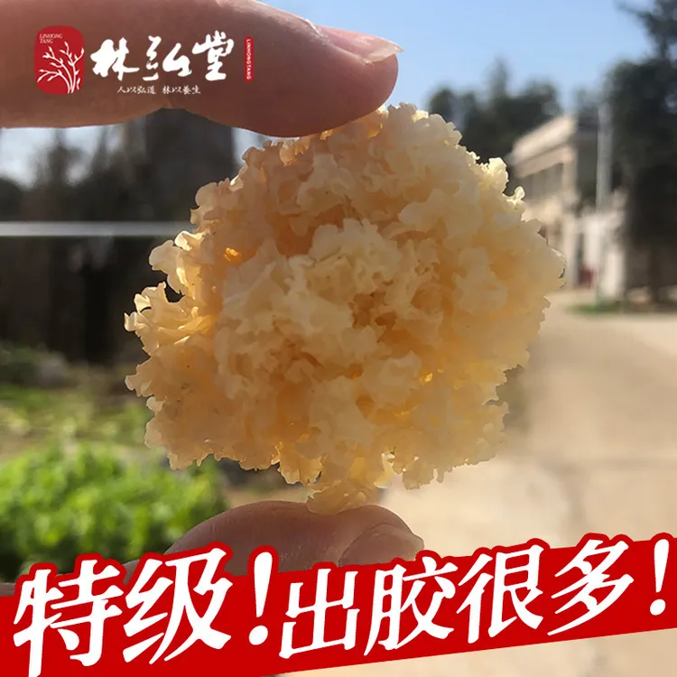 【特级】长白山野外生椴木小银耳出胶白木耳干货无硫糯雪耳碎丑耳