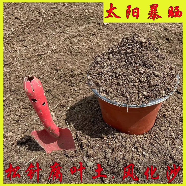 腐叶土松针风化沙种植土绿植盆栽专用
