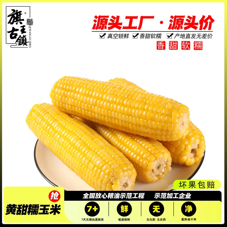 (试吃2根)东北黄糯玉米产地直发12支6斤独立包装