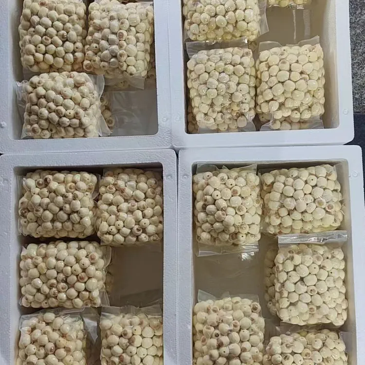 2025新鲜莲子去壳去心湿莲子煲汤熬粥冷饮莲子一斤装的5斤起发