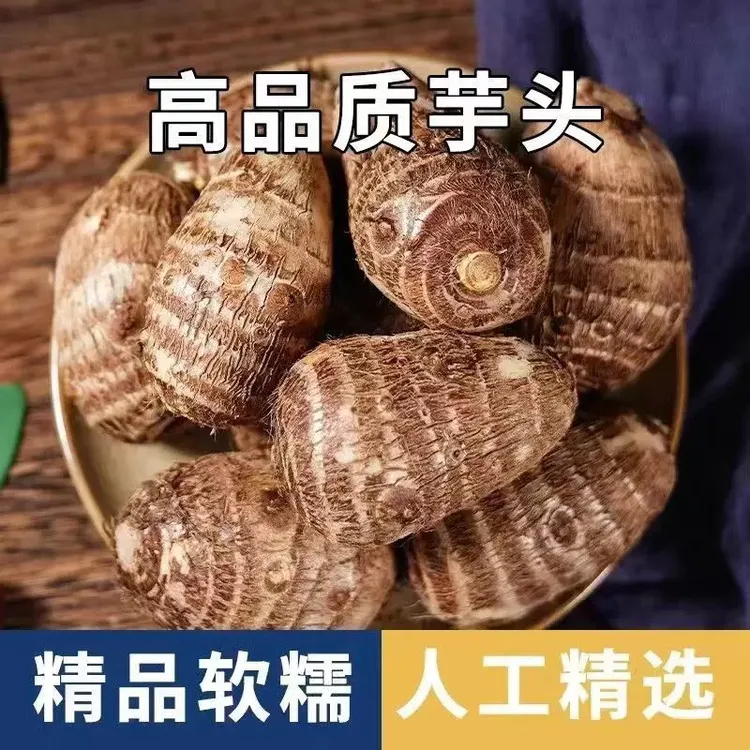新鲜现挖山东沙地毛芋头牛奶小芋头软糯香芋芋艿香糯