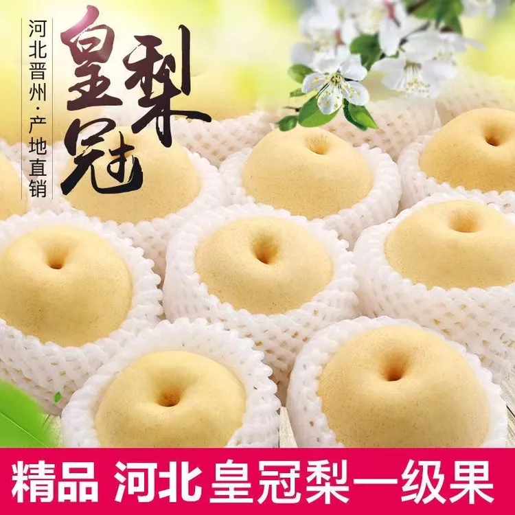 河北正宗皇冠梨10斤脆甜多汁梨子皮薄肉厚5斤梨子