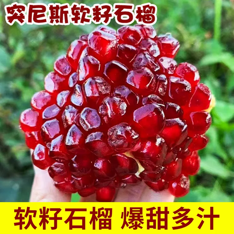 【精品甄选】会理突尼斯软籽石榴新鲜水果甜石榴突尼斯5斤包邮