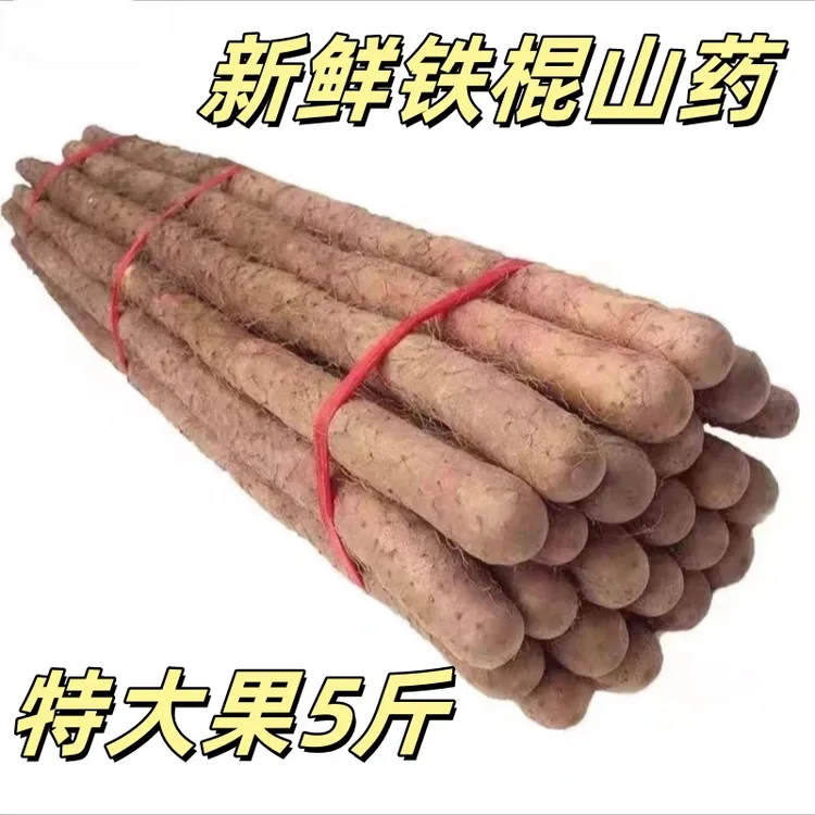铁棍山药新鲜精品软糯香甜营养高4.5斤装原产地垆土山药50-70