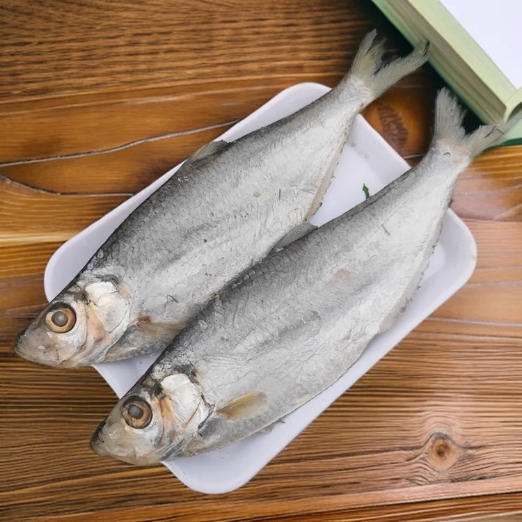白鳞鱼鳓鱼咸鳓鱼咸鱼(汤腌不是鱼干)1-5斤装/箱称重腌制水产美味
