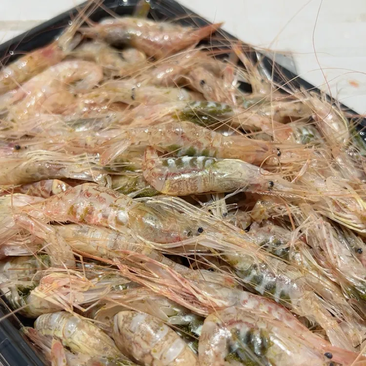 吕四渔港，新鲜红莽子虾，只能生吃，必须急冻好发货