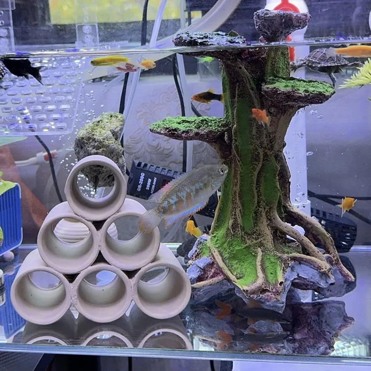 新品罐躲避屋繁殖罐鱼缸造景迷你鹦鹉鱼小鱼虾窝简约粗陶透气工艺