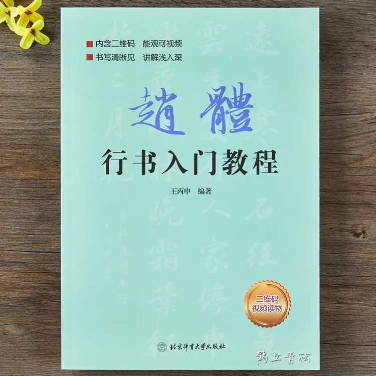 赵孟頫赵体行书入门教程基础训练基本笔画偏旁部首字体