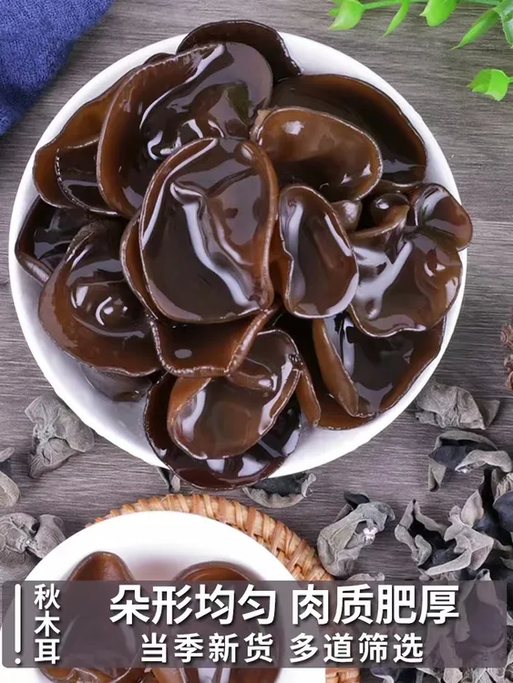 正宗精选东北秋木耳黑木耳肉厚无根干净无沙500g净重小碗耳